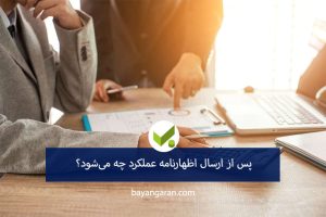 اظهارنامه عملکرد